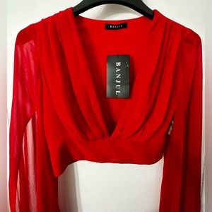 Red Dramatic floor length veiled sleeve blouse